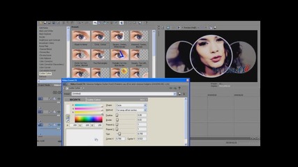 Sony Vegas Tutorial - Effect #2