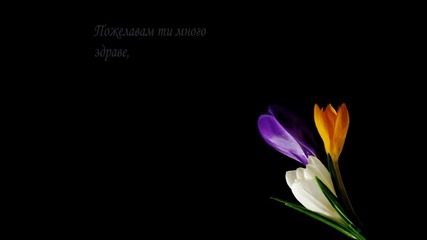 Осми март