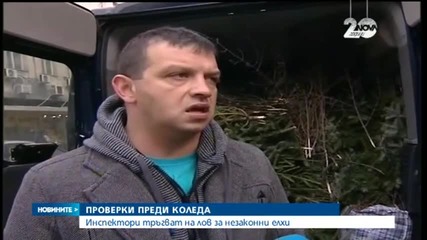 Инспектори тръгват на лов за незаконни елхи