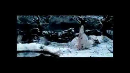 Evanescence - Lithium.avi