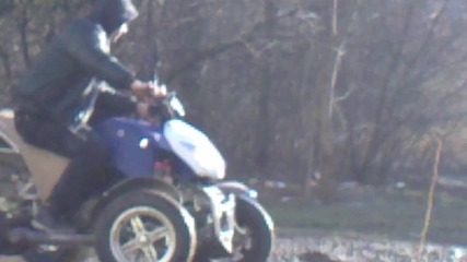 bashan - 250 Atv 