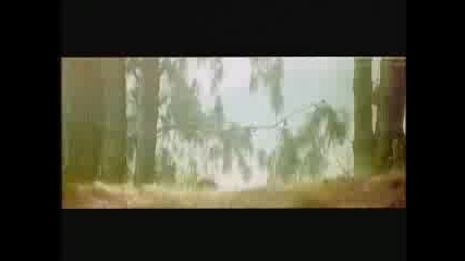 Maharaja - Main Tera Deewana.flv