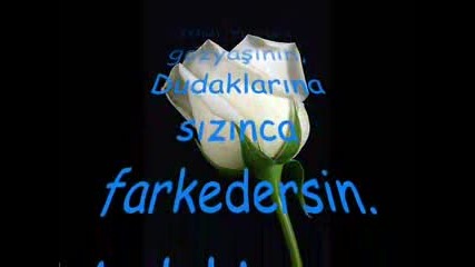 Neylersin...(yusuf Hayaloglu - Siir)