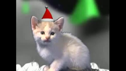 Коледна песен ( котешка версия ) :*