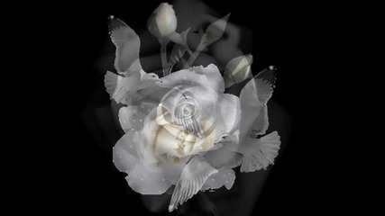 Ghost Of A Rose - Blackmores Night 