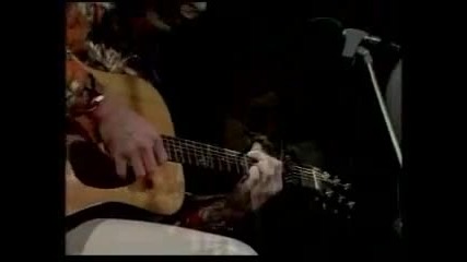 Lobo - Bird love you to want me