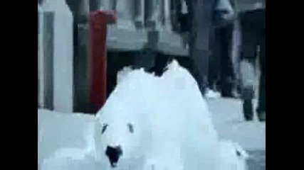 Fight Global Warming - Polar Bears