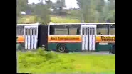 Ikarus buses in the world 74 