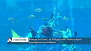 Рекорд на Гинес за 110 русалки, които плуват едновременно в басейн