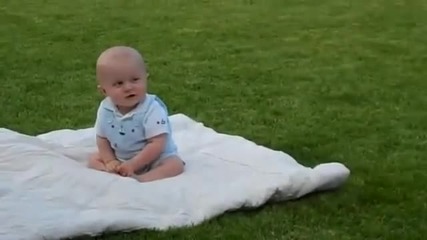 Малки сладки бебочета :)
