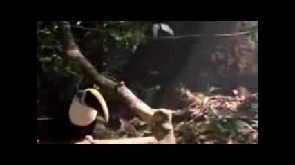 Michael Jackson - Earth Song - World Environment Day