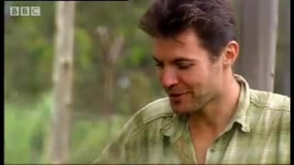 Attacked by an African lion - Steve Leonard - My Life with Animals Bbc wildlife 