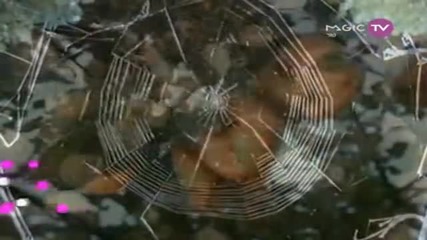 Enigma - Return To Innocence