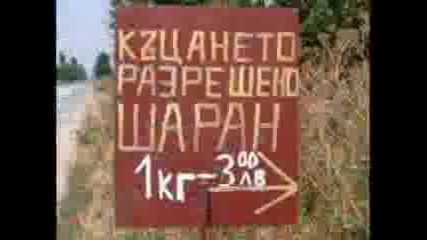 100% Смях