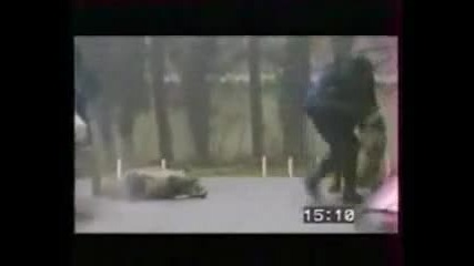 Полицейско куче ! Гледай задължително !