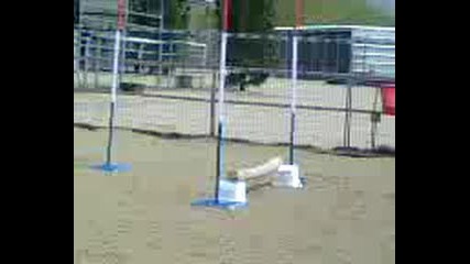 Princess Jumping More