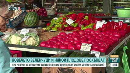 Повечето зеленчуци поскъпват на борсите, доматите с близо 70% за месец