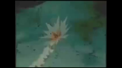 Naruto Vs Sasuke 