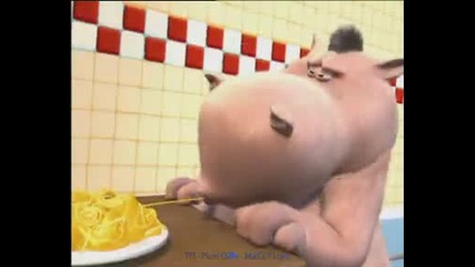 Hippo and Dog - Ядене на спагети 