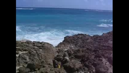 Barbados South Point