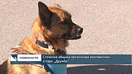 Столична община организира екопавилион в парк „Дружба“