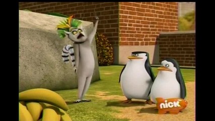The Penguins of Madagascar - Cute - astrophe
