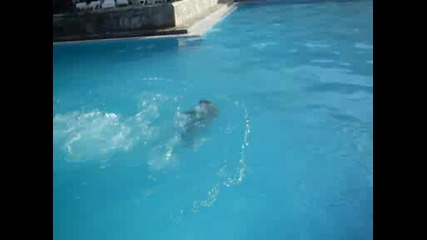 Митката на басейна , Messonghi Beach Hotel Corfu 2