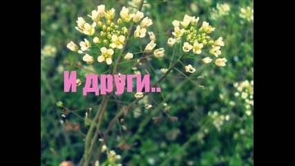 Нова Историяя!! ^^