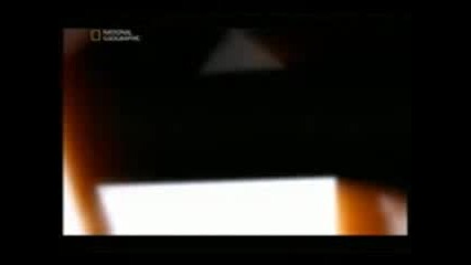 Вярно ли е: Ефектът Нострадамус