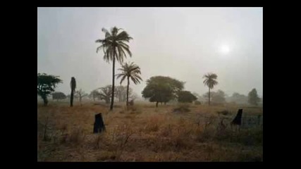 Nuru Kane - Toub
