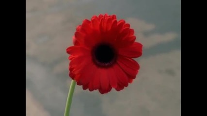 Joss Stone - Tell Me What We're Gonna Do Now