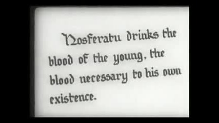 Nosferatu eine Symphonie des Grauens