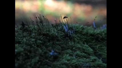 Kenny G - You re Beautiful