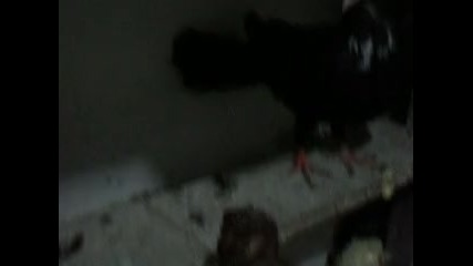 Sam_0756