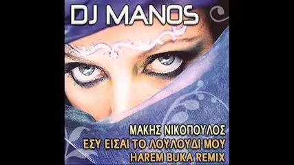 Dj Manos feat. Makis Nikopoulos - Esi eisai to louloudi mou Harem Buka Remix 