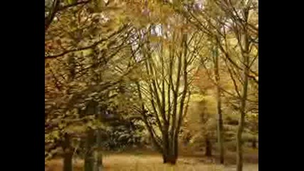 Richard Clayderman - Balada Para Adelina