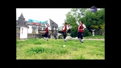 Нелина-черешка е цвят цветила