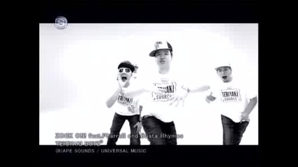 Teriyaki Boyz feat. Pharrell & Busta Rhymes - Zock On 