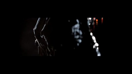 Slayer - Beauty Trough Order (2010)