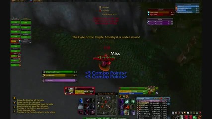 Wow Pvp 80 Rogue
