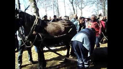 Todorov den samokov
