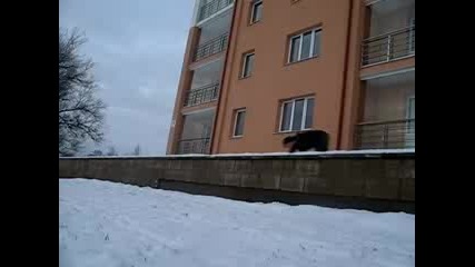 Pawa - Crazy winter flips