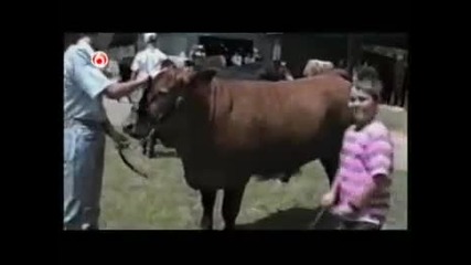 Смях До Скъсване 42 