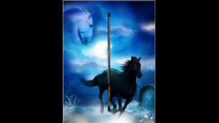 Horses Forever For Horse Riding - I'm Horse Rider