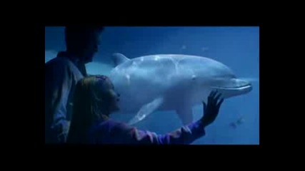 Wwf Помисли Какво Ще Стане За Бъдещето