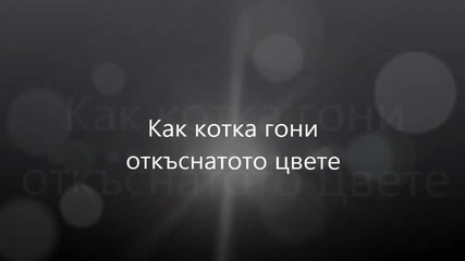 Kak kotka goni otkasnatoto cvete