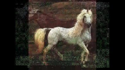Моите любими същества