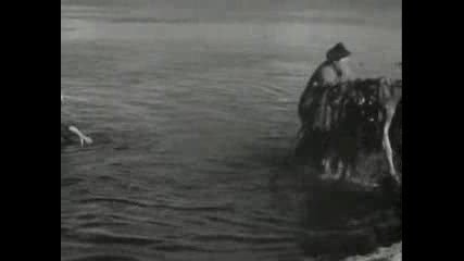 British Sea Power - Come Wander With Me 