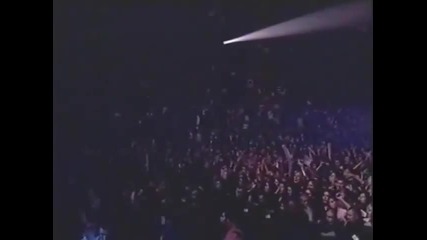 Ceca - Zaboravi - (LIVE) - (Pionir 1995)