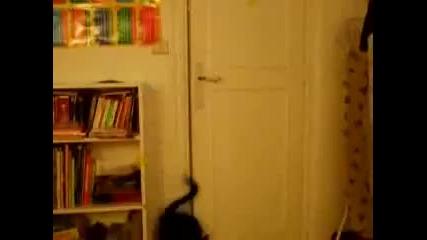 Котка отваря врата // Cat open door .. 